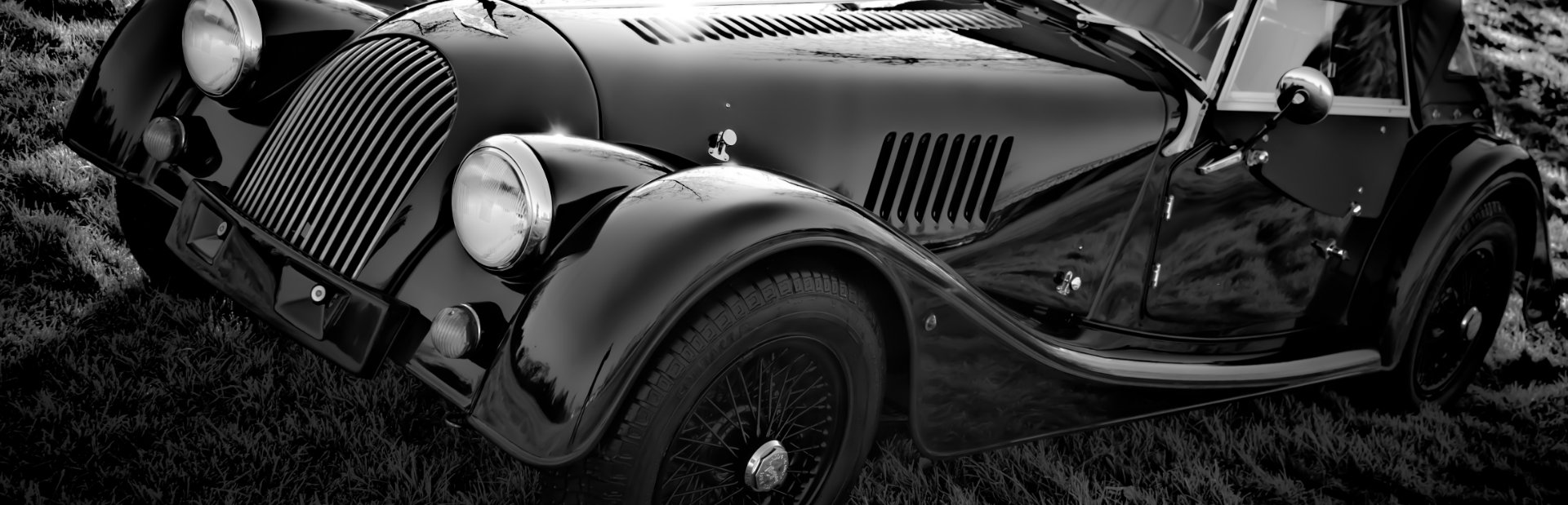 Berrybrook Morgan
